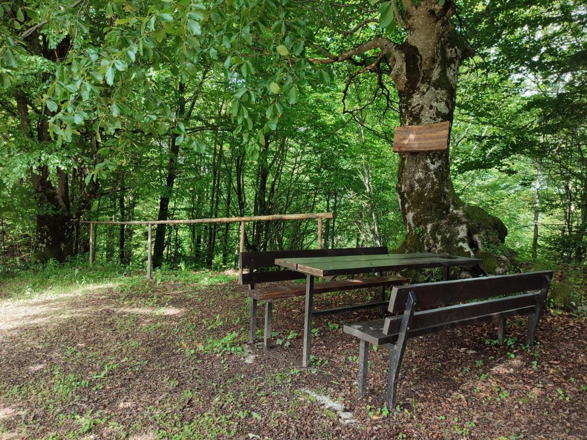 Holiday Home "Sleme" With Jacuzzi, Big Garden And Arbor With Fireplace Skrad 외부 사진