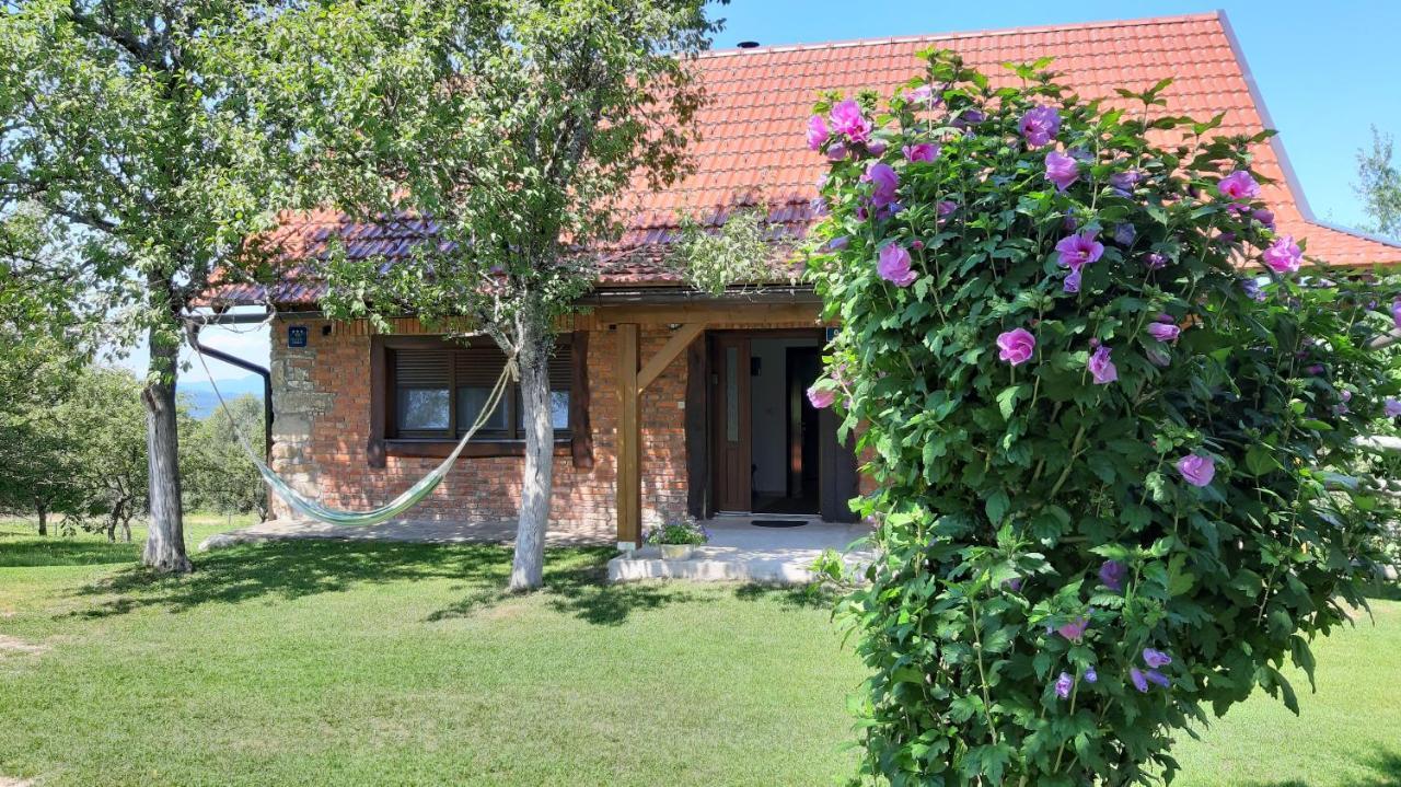 Holiday Home "Sleme" With Jacuzzi, Big Garden And Arbor With Fireplace Skrad 외부 사진
